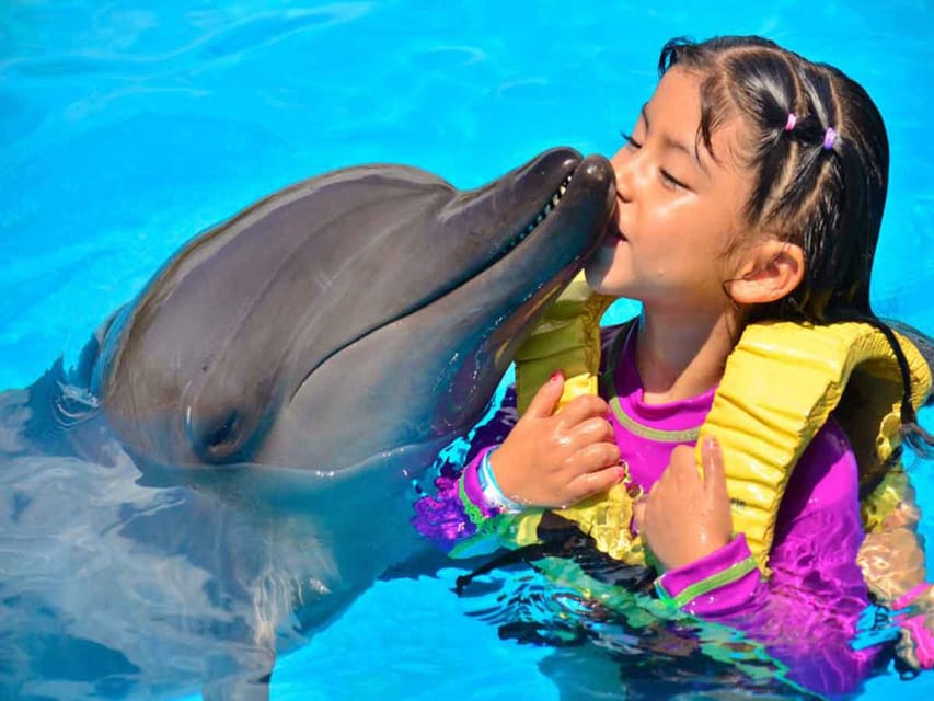 Side/Alanya: Swimming With Dolphins