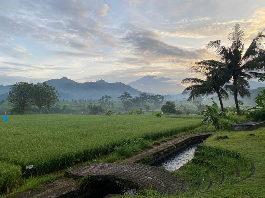 Sidemen: Rice Terraces and Hidden Waterfall