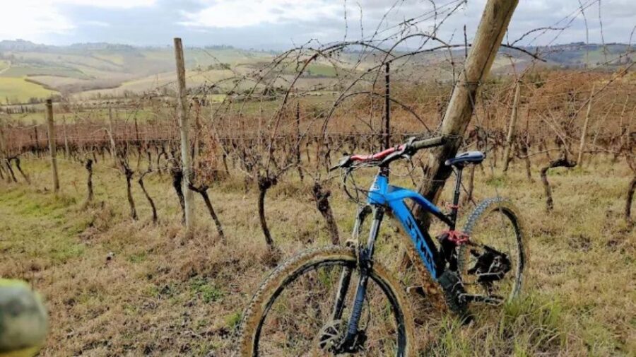 Siena: E-Bike Tour on the via Francigena With Brunch