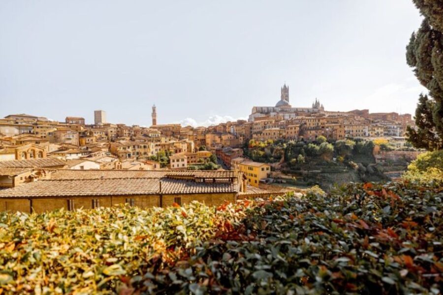 Siena: Private Custom Tour With a Local Guide