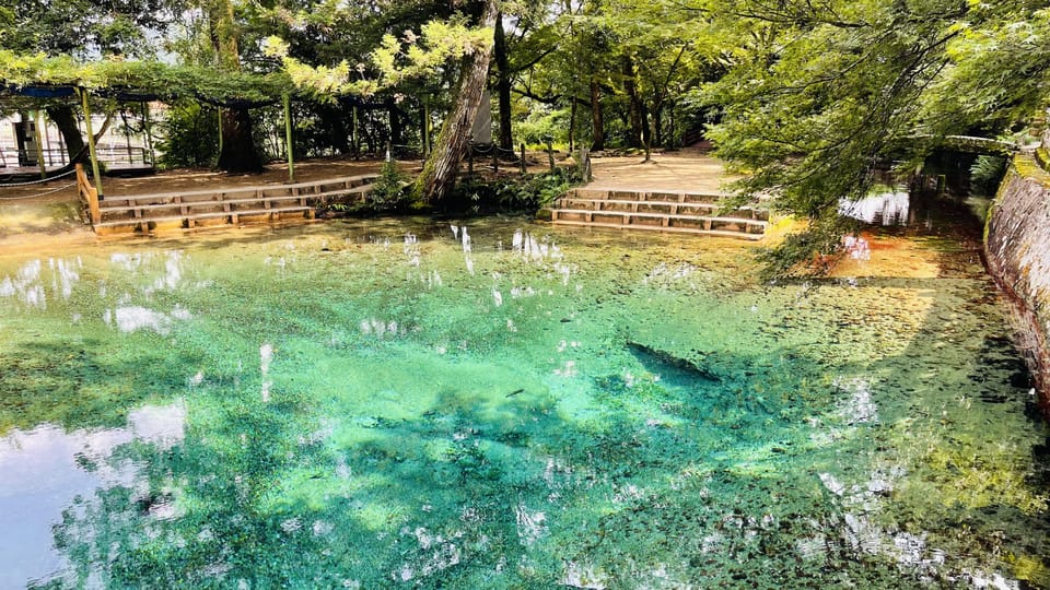 Sightseeing Bus Tour Happiness Tours on the Yamaguchi-go B - Tour Overview