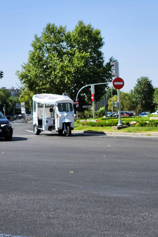 SIGHTSEEING TOUR IN MADRID
