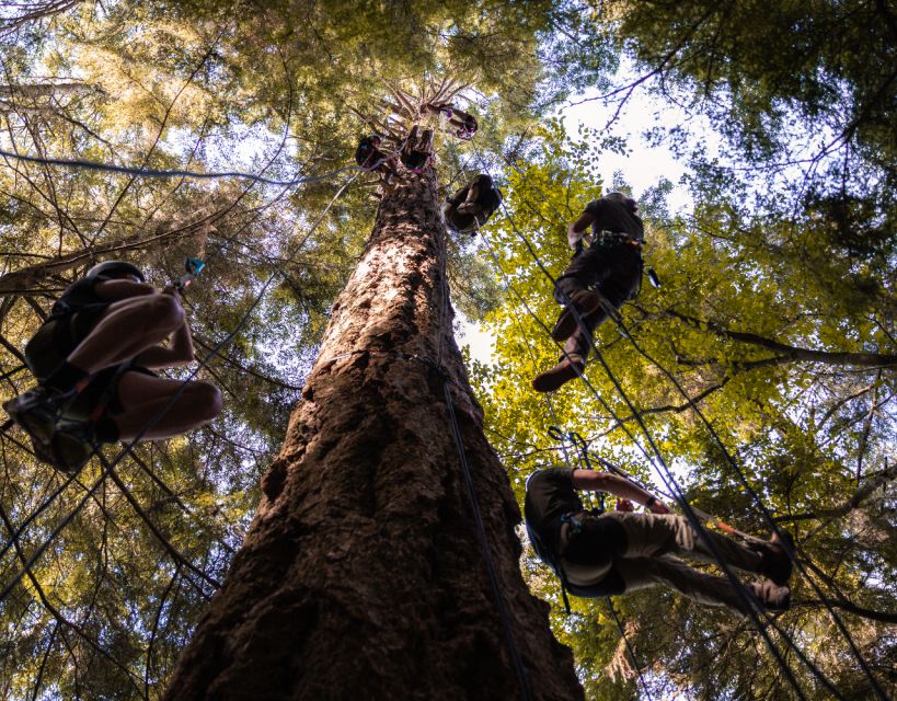 2 Best Tours In Silverton