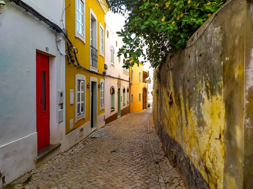 Silves, Caldas and Monchique Wine Tasting: Full Day Tour - Tour Overview
