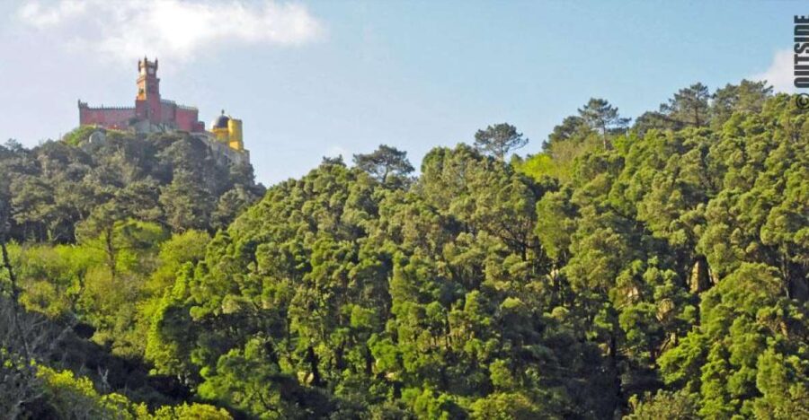 Sintra: 3.5-Hour Rock Climbing Experience
