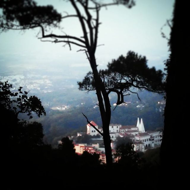 Sintra: Legends and Medieval Stories Private Walking Tour