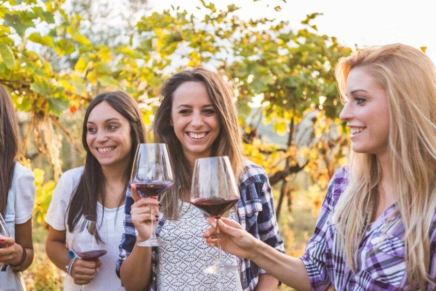Šišan: Organic Winery Tour and Tasting Experience