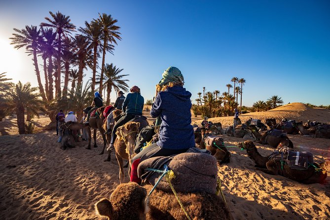 Small Group 3-Days Fez to Marrakech Desert Tour