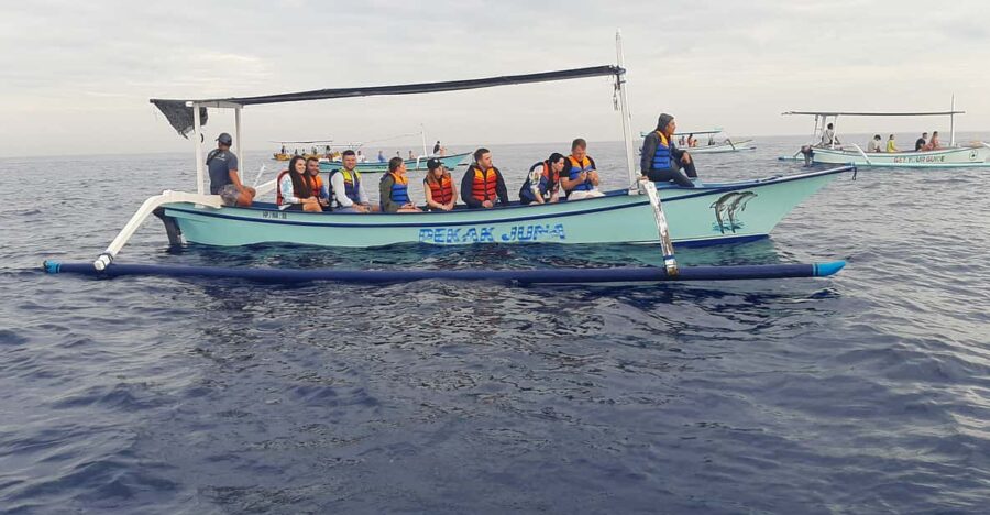 Small Group Dolphin Tour, Sunrise, Swim With Dolphin Lovina