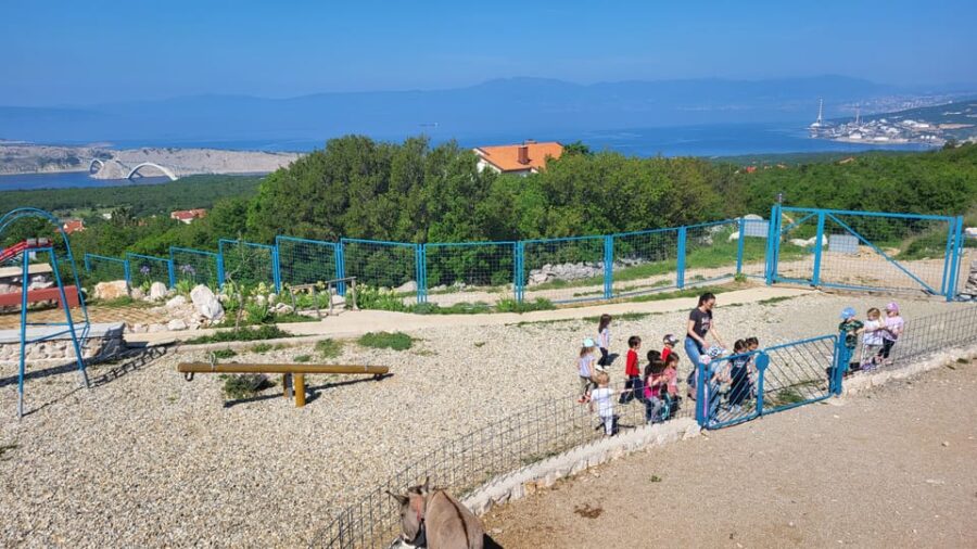 Šmrika (near Rijeka/Krk/Crikvenica) Donkey Farm Entry Ticket