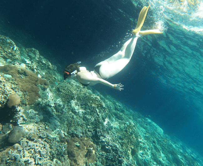 Snorkeling at Manta Point and 3 Other in Nusa Penida