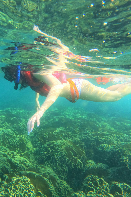 Snorkeling in Amed by Visiting Heavens Gate or Tirta Gangga