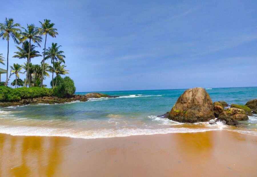 Snorkeling in Negombo