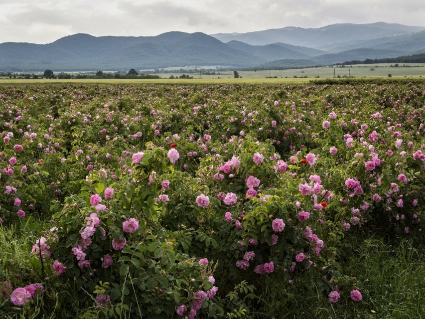 Sofia, Plovdiv, and The Rose Valley in 2 Days