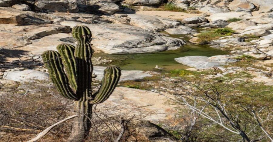 Sol De Mayo Oasis: Explore Natural Springs and Charming Town - Overview and Pricing