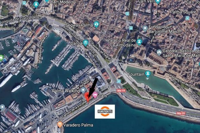 Soller Port With Train and Tram Mallorca Half Day Trip - Tour Overview