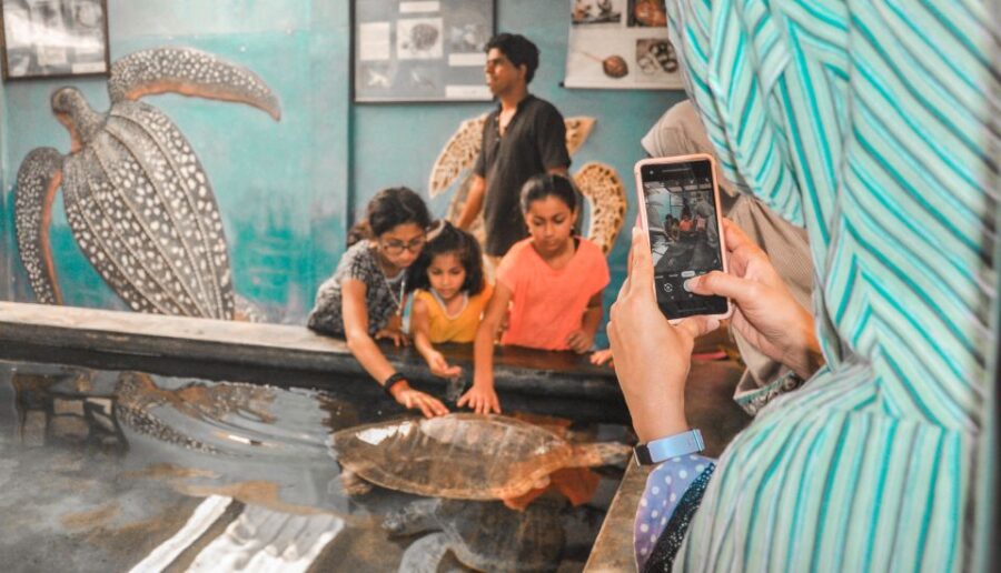 Sri Lanka: Day Tour to Kosgoda, Balapitiya & Unawatuna