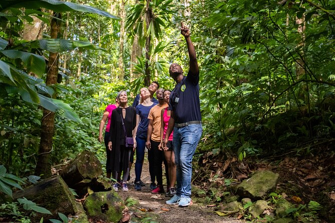 St Lucia Jacquot Trail Hike at Rainforest Adventures - Tour Details and Itinerary
