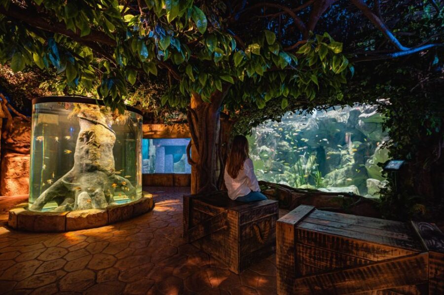 St Pauls Bay: Malta National Aquarium Entry Ticket