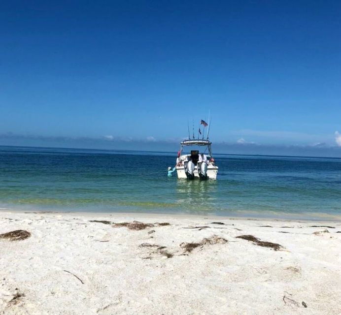 St. Petersburg, FL: Private Florida Gulf 6-Hour Boat Tour