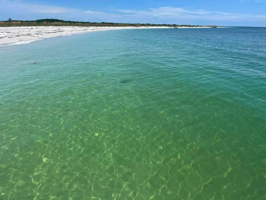 St. Petersburg, Florida: Private 4-Hour Beach Tour