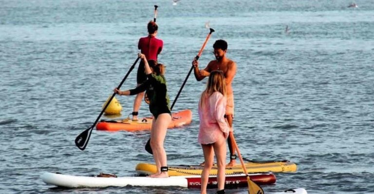 Stand up Paddle and Shopping CAP3000