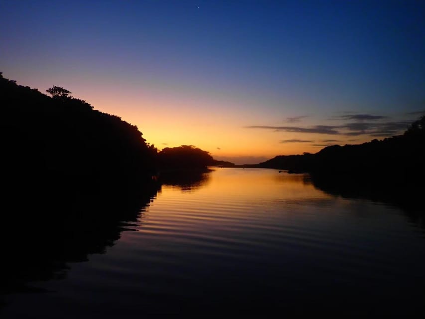Stand Up Paddleboard: Amazing Sunrise at Mangrove River