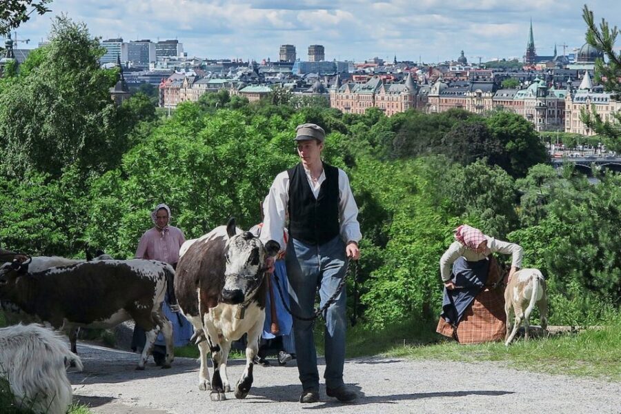 Stockholm: Skansen Open-Air Museum Admission Ticket - Ticket Details and Pricing