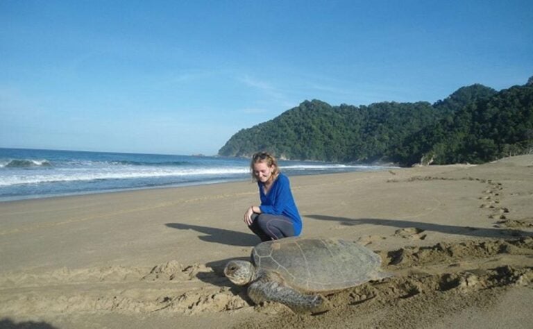 Sukamade: A Private Tour To See Turtle Lay Egg (2D/1N)