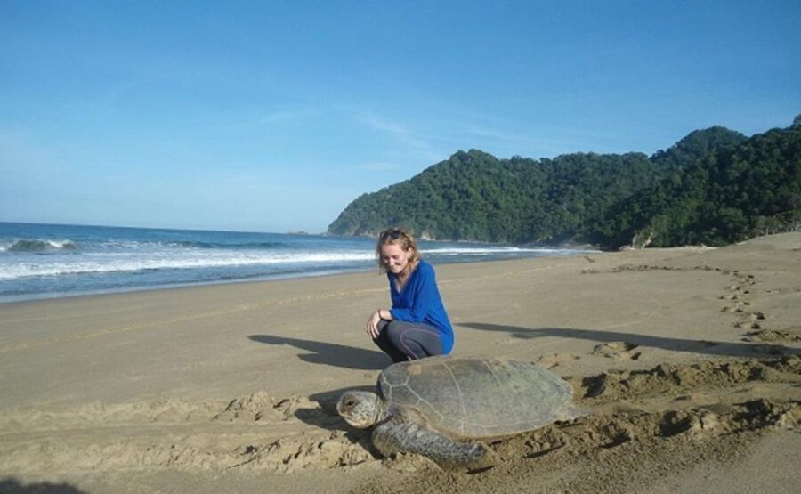 Sukamade: A Private Tour To See Turtle Lay Egg (2D/1N) - Tour Overview