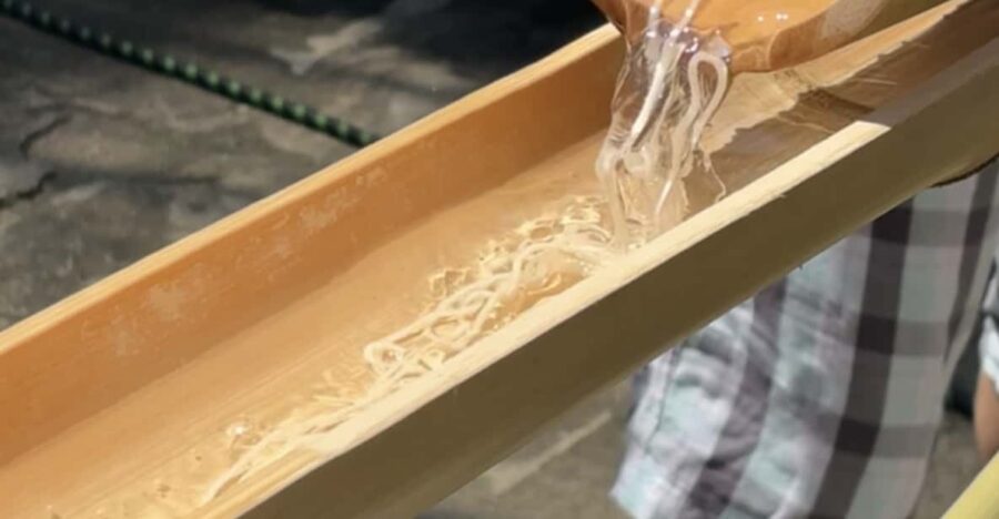 Summer Fun With Flowing Noodles