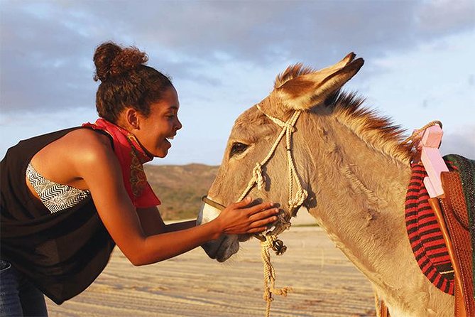 Sunset Pacific Donkey Hiking Tour - Tour Overview