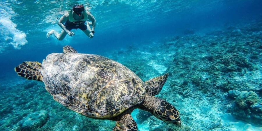 Sunset Snorkling Trip