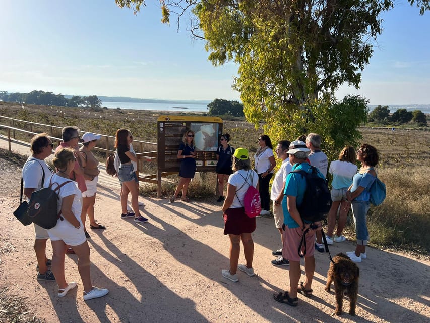 Sunset Wine Tour With Tasting in a Natural Park - Tour Overview