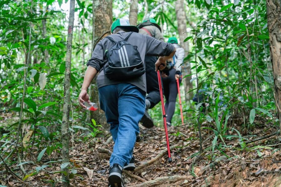 Suoi Tien 1-Day Trekking: Phu Quoc Excursion - Overview of the Trekking Tour