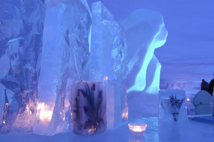 Surprise: Snowmobile Tour to Arctic Snow Village & Snack