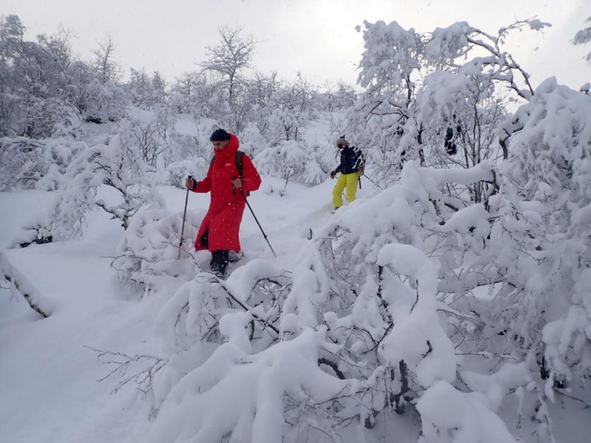 Svolvaer: Snowshoeing Half Day