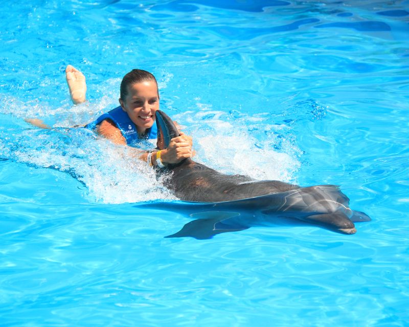 Swim With Dolphins Ride - Interactive Aquarium Cancun - Aquarium Entrance and Facilities