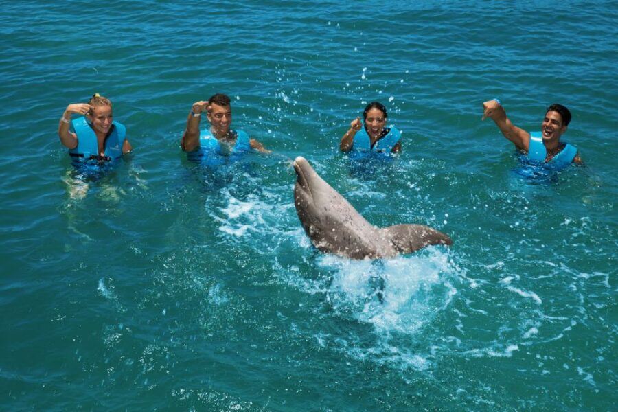 Swim With Dolphins Ride - Playa Mujeres