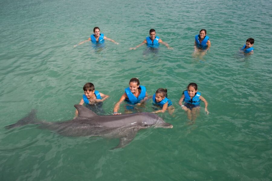 Swim With Dolphins Ride – Puerto Morelos