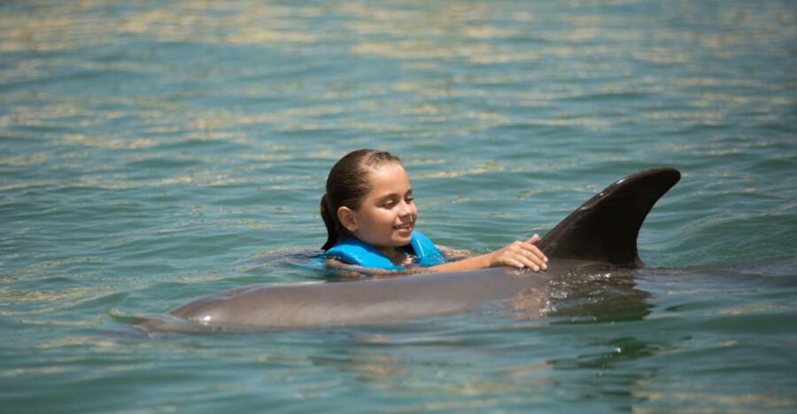 Swim With Dolphins Splash - Punta Cancun - Overview of the Experience