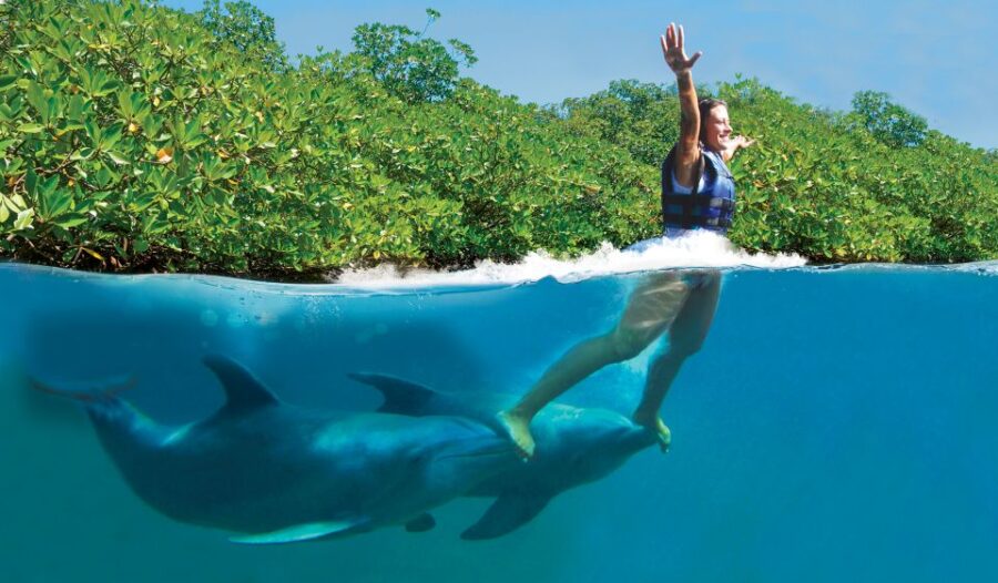 Swim With Dolphins - Supreme - Puerto Morelos