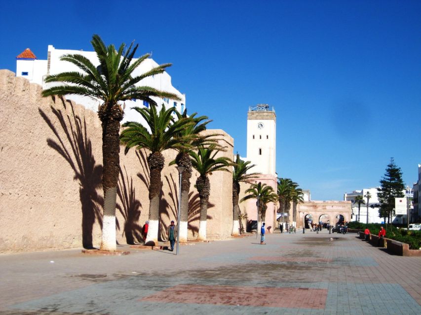 Taghazout/Agadir/Tamraght : Essaouira Guided Day Trip