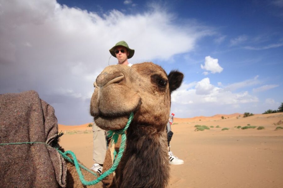 Taghazout Sunset Camel Ride