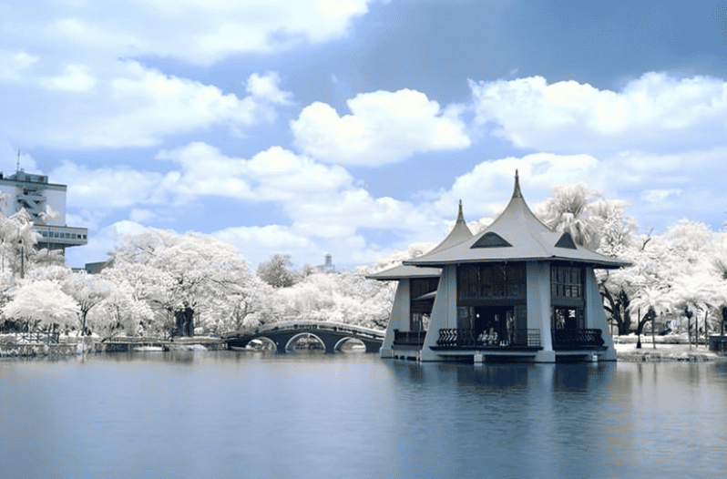 Taichung City: Sightseeing Walking Tour With a Local Guide
