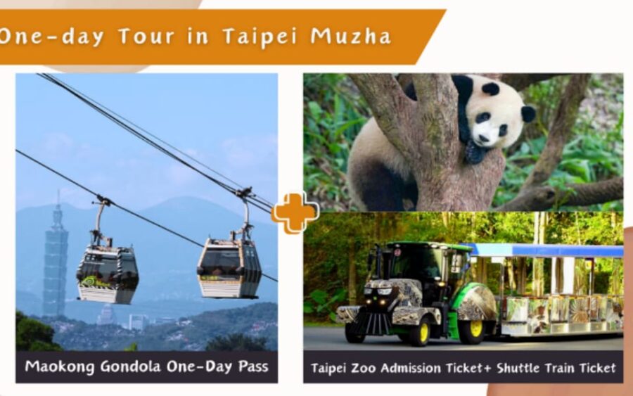 Taipei Makong Cable Car: Ticket & Combos