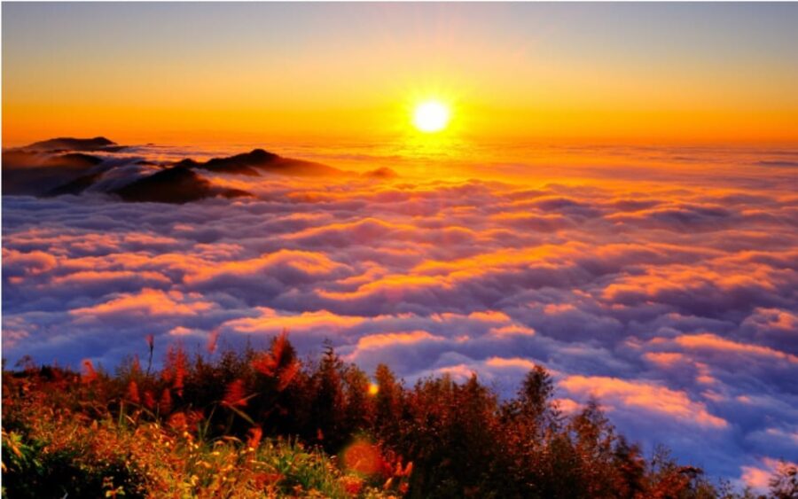 Taiwan: Alishan National Forest Recreation Area E-ticket - Ticket Details and Pricing