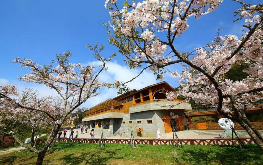 Taiwan: Alishan National Forest Recreation Area E-ticket - Ticket Details and Pricing