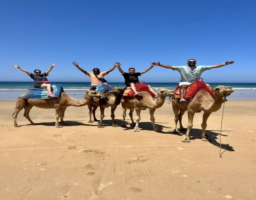 10 Best Historical Tours In Tangier