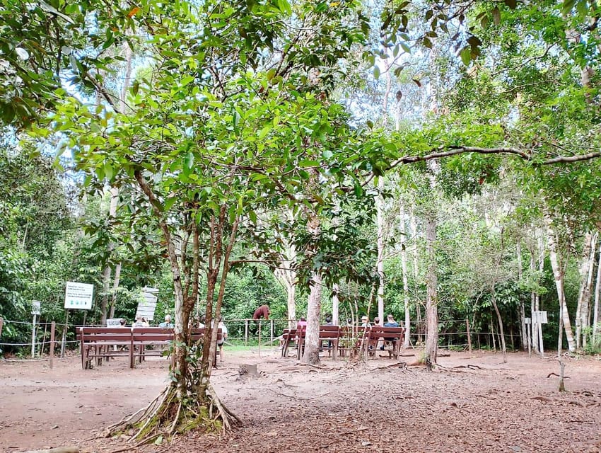 Tanjung Puting National Park Klotok